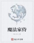 魔法世家什么意思