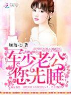 书名军少老公