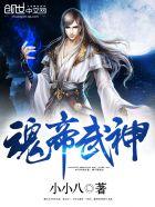 魂帝武神依依的身份