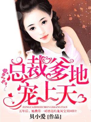 天降双宝总裁爹地宠上天