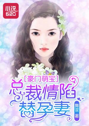 豪门总裁的宠孕夫