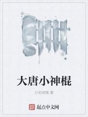 大唐神棍林天最新章节更新时间