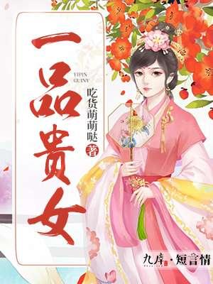 一品贵夫人