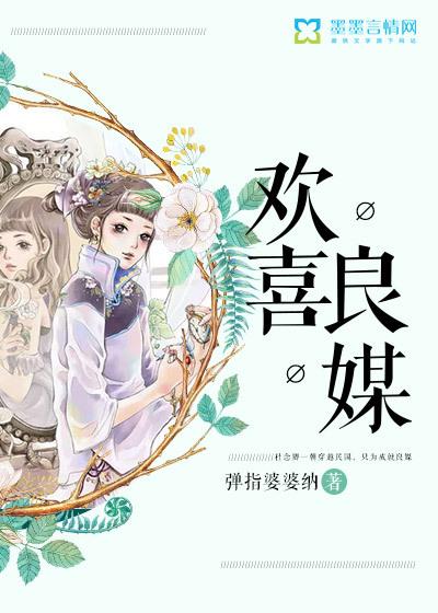 欢喜良媒民国