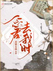 念君去我时 独愁常苦悲是什么意思