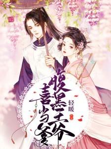 南宫夜齐妃云什么
