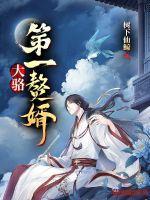 第一赘婿免费