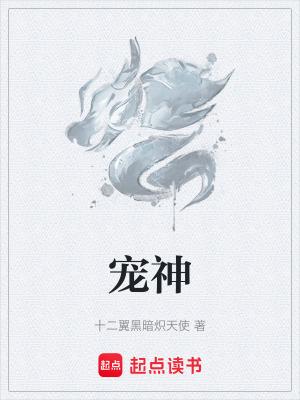 宠神 十二翼黑暗炽天使