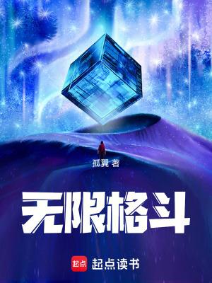 无限格斗孤翼