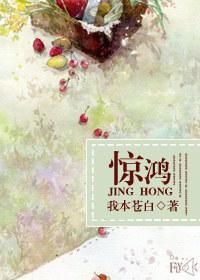 惊鸿一瞥歌词