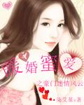 豪门暖婚蜜爱txt