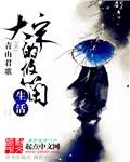 大宋悠闲生活