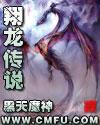 翔龙文化传播有限公司