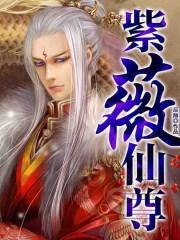 紫微星神仙