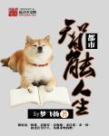 都市之抽奖人生