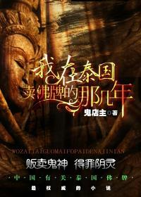 我在泰国卖佛牌的那几年登康结局