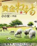 黄金牧场无错版