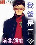 我爸是司令林辉