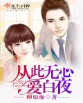 从此无心爱良夜虐文